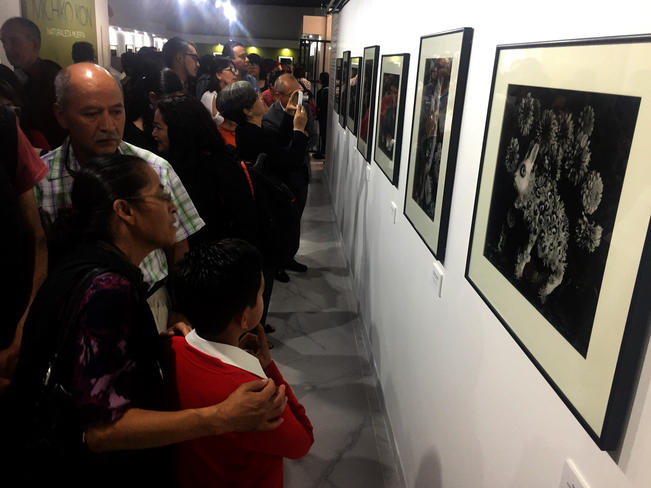 Resultado de imagen para decimonoveno Encuentro Nacional de Fototecas pachuca