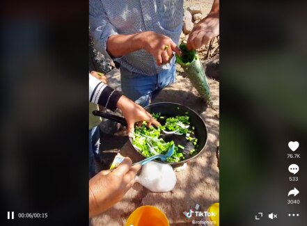 Bloguero queretano muestra, paso a paso, cómo elaborar nopales en penca 