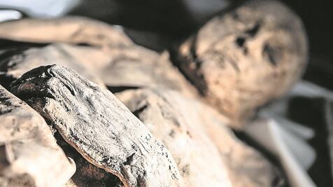 Museos revisan cómo exhibir cuerpos