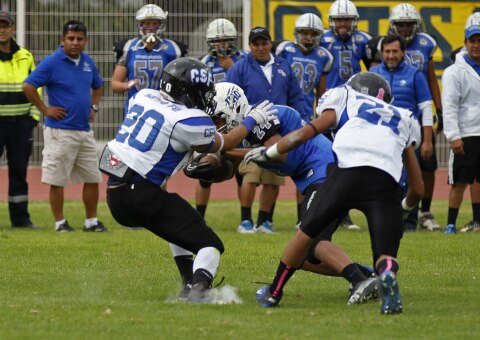 Gatos Salvajes va a las semifinales