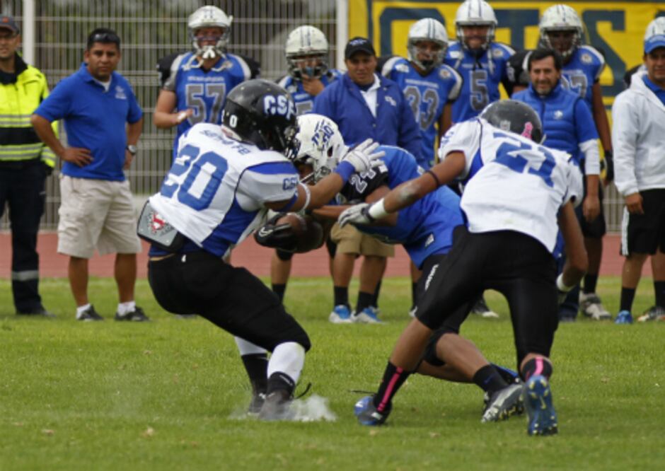 Gatos Salvajes va a las semifinales