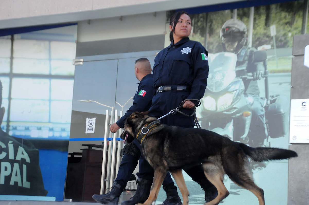 El Municipio de Corregidora tendría su propia Academia de Policías