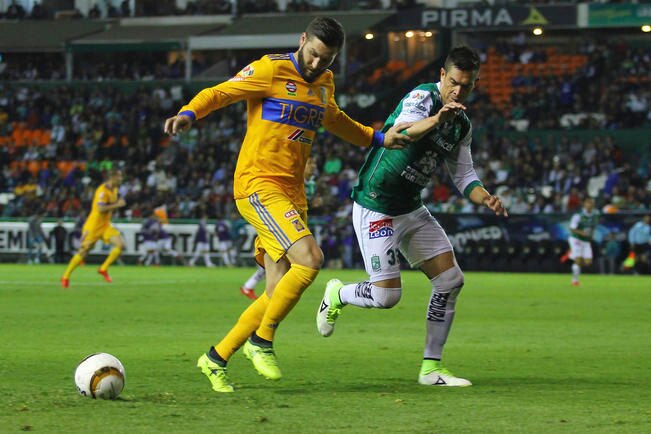 Tigres, con el comillo más largo