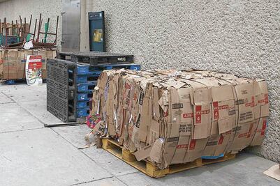 Apoya UTC proyectos ecológicos