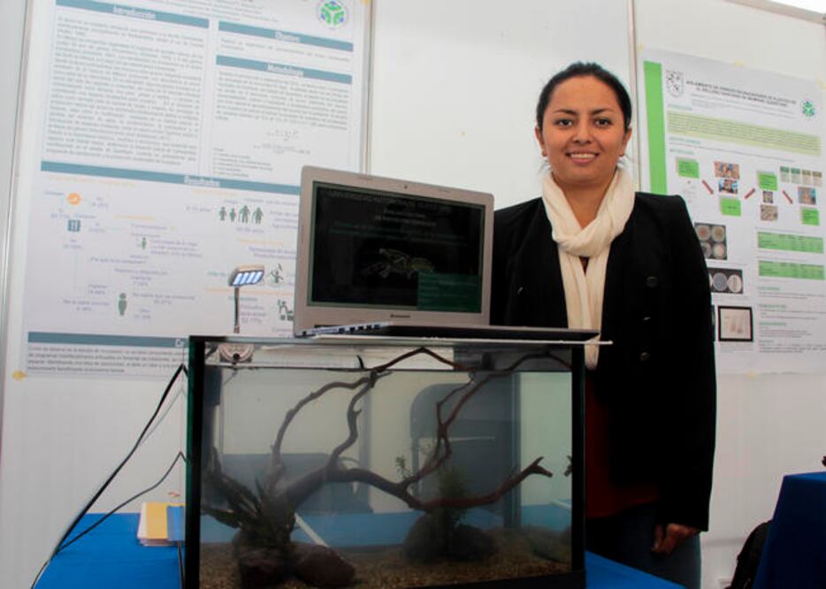 En Humilpan, solo 65% de la población conoce el alcocil, 9% lo ha consumido; 90% restante que no lo ha consumido no sabía que se podía hacer: estudio. (ESPECIAL)