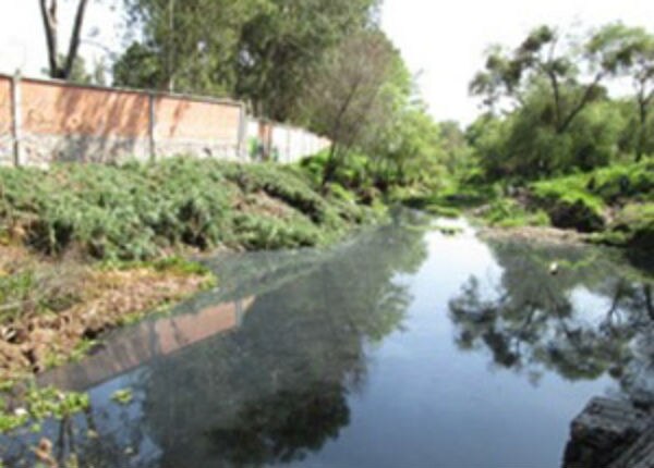 Trabajan en rescate del río pueblito