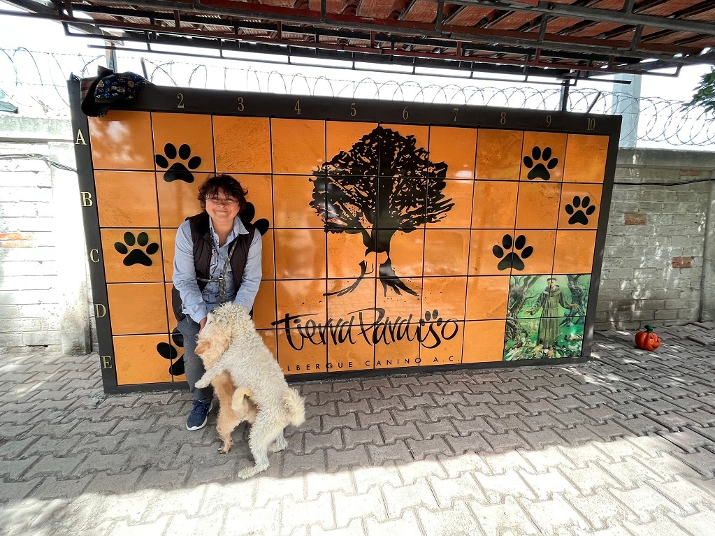 Tierra Paraíso, el camposanto de las mascotas en Querétaro