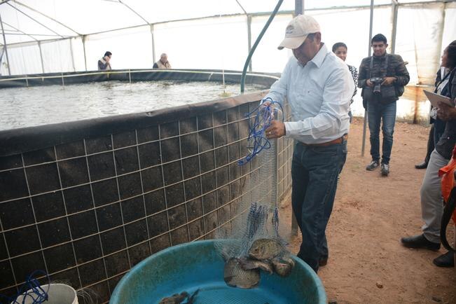 Alternativo. Abren opciones de agroturismo en San Juan