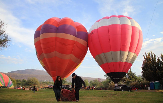 A las 7 de la mañana, los primeros siete globos ya estaban totalmente levantados y en espera de la orden para el inicio de los vuelos (Fotos: LUIS SÁNCHEZ)