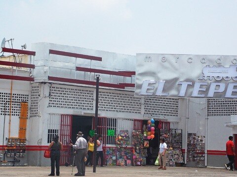 Se quejan de fauna nociva