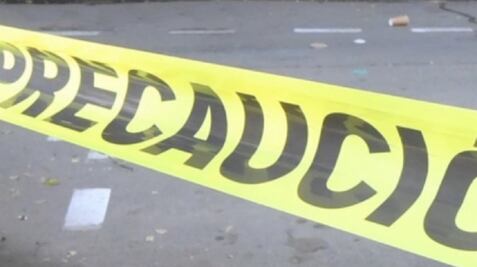 En Celaya, hallan cuerpo desmembrado; perro traía pierna en el hocico