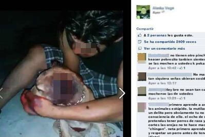 Joven mutila orejas a perro