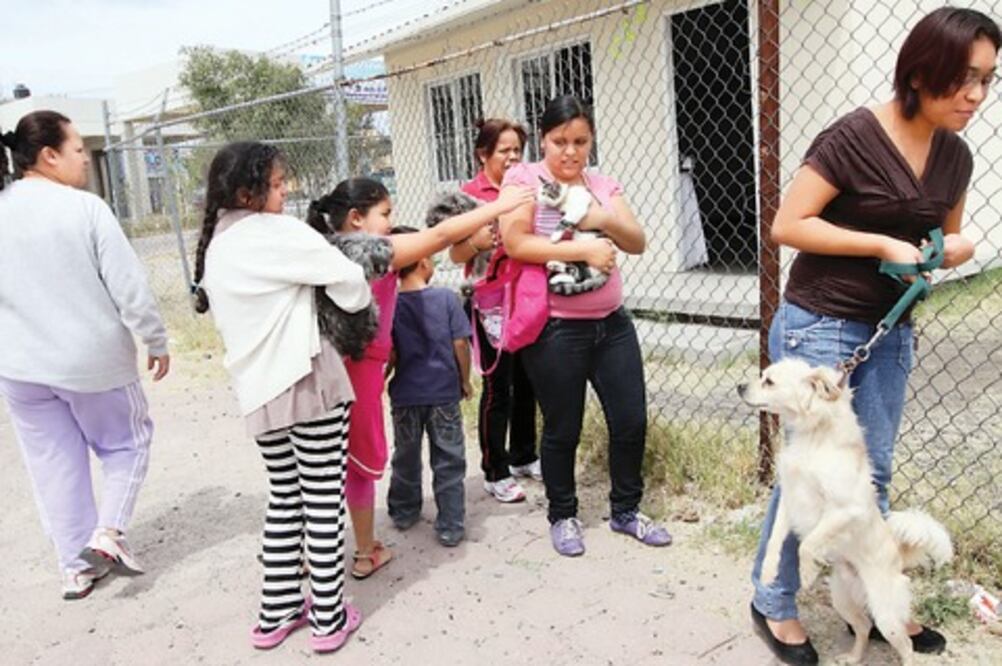 Comienza campaña de vacunación antirrábica 