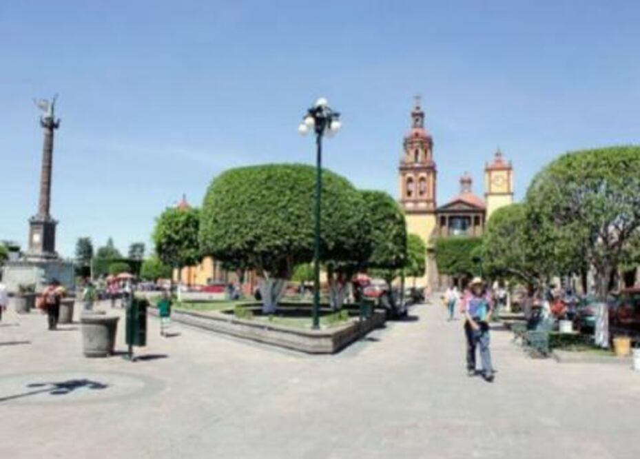 Afecta inseguridad a profesionistas