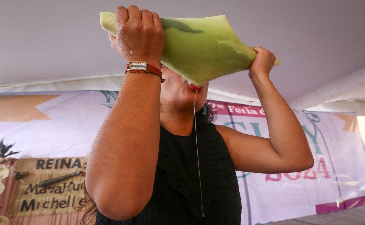 El pulque es una fusión entre sabores y esencias naturales / Foto Luis Camacho