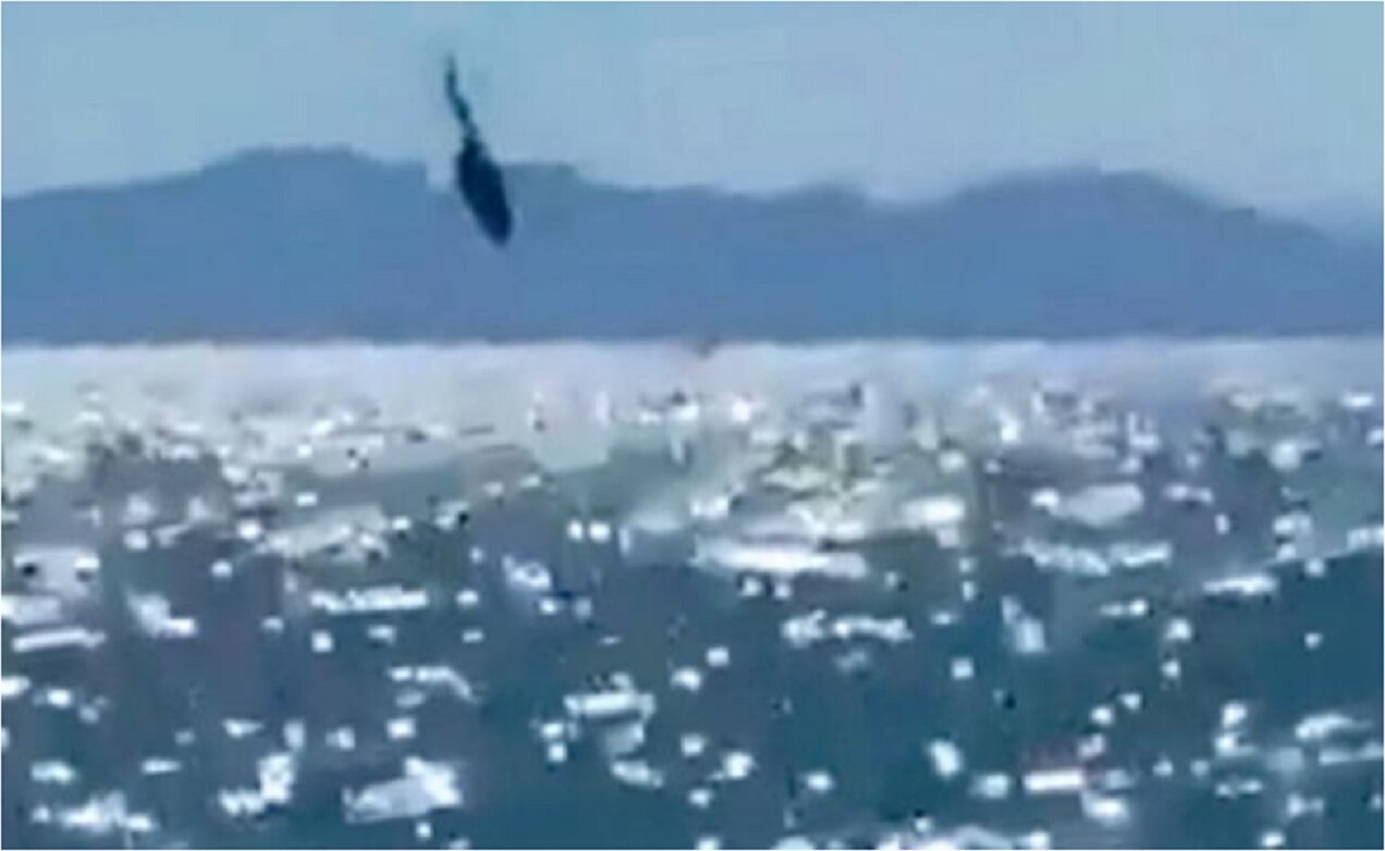 Rescatan cuerpo de marino desaparecido