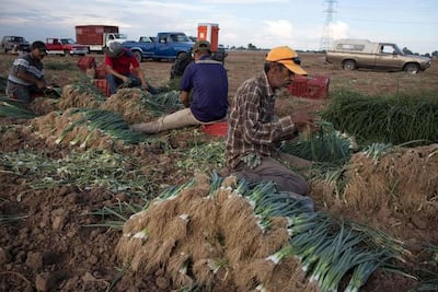 Piden acuerdo por los trabajadores