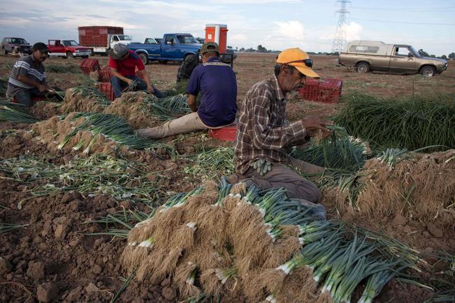 Piden acuerdo por los trabajadores