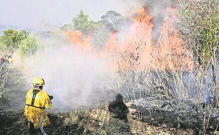 Acumula estado 42 incendios forestales