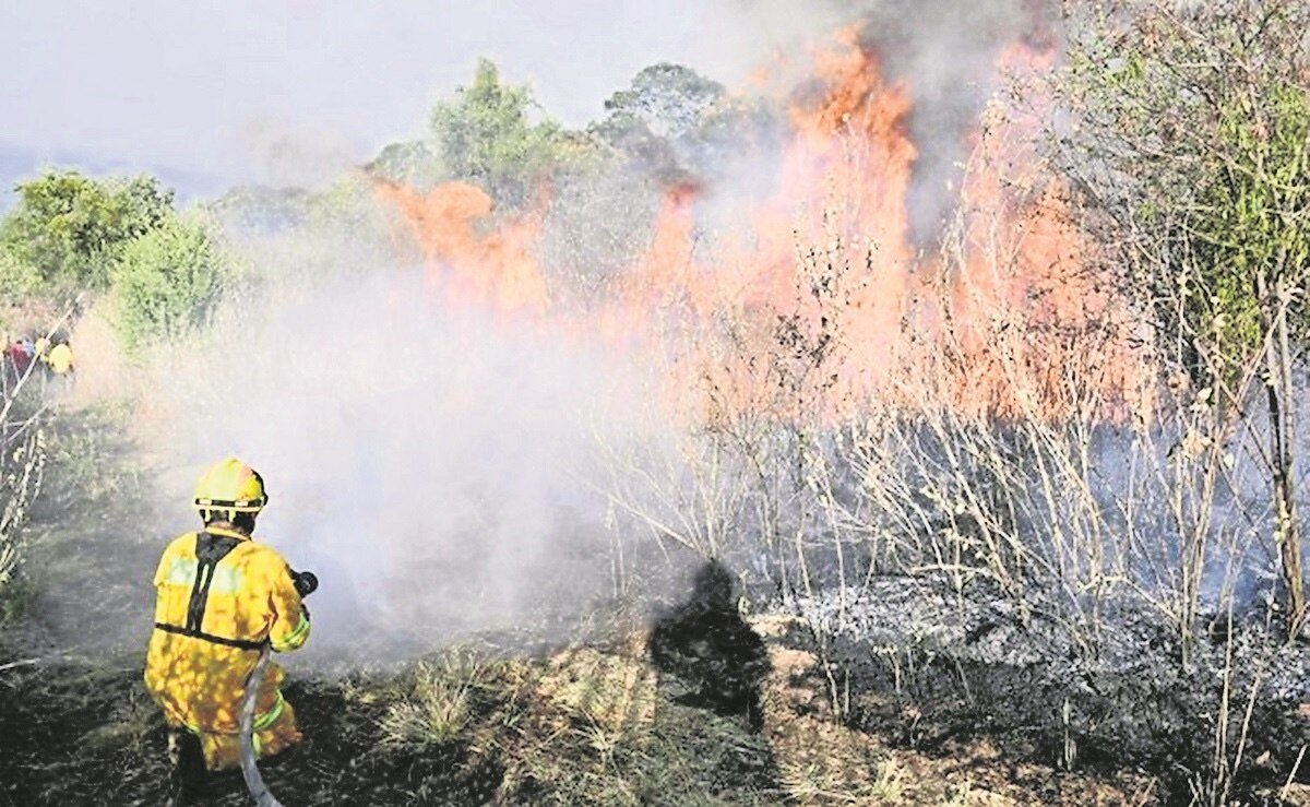 Acumula estado 42 incendios forestales