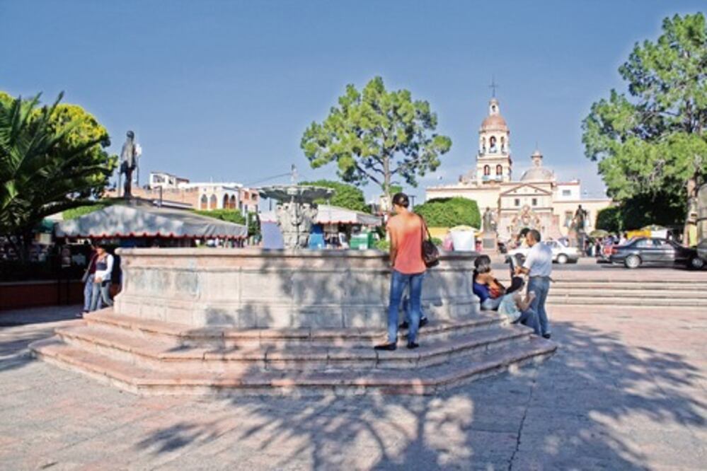 Repondrán árboles dañados 