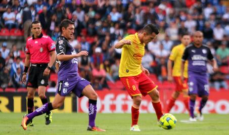 Gallos araña un puntito