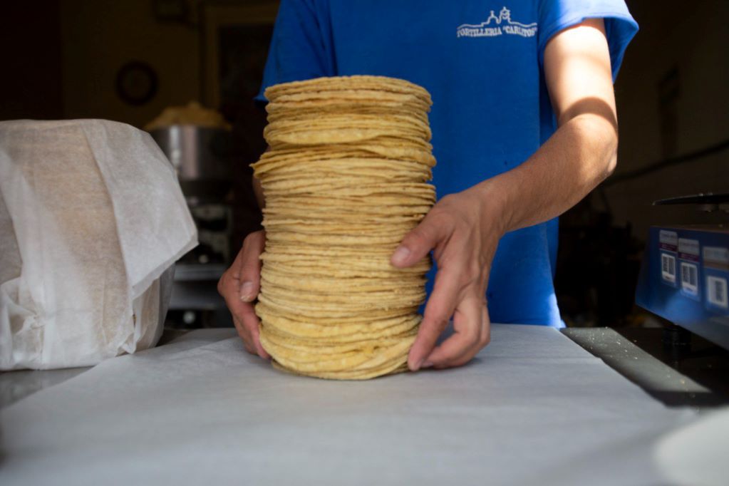 Sube 25% el costo de insumos para la producción de tortillas