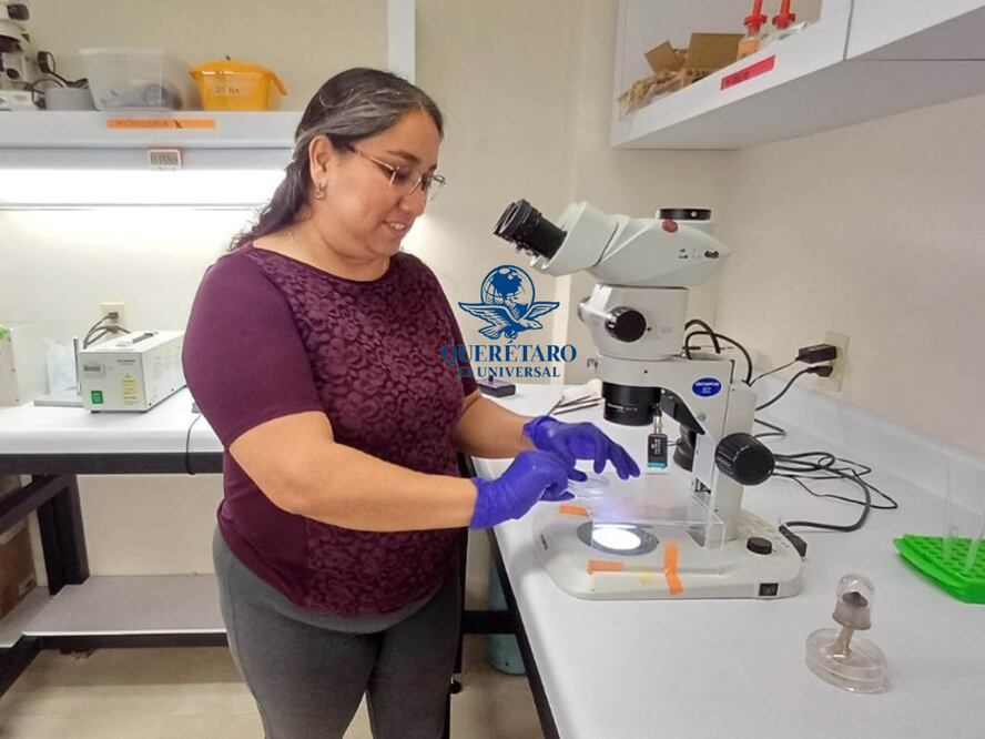 Foto: Domingo Valdez