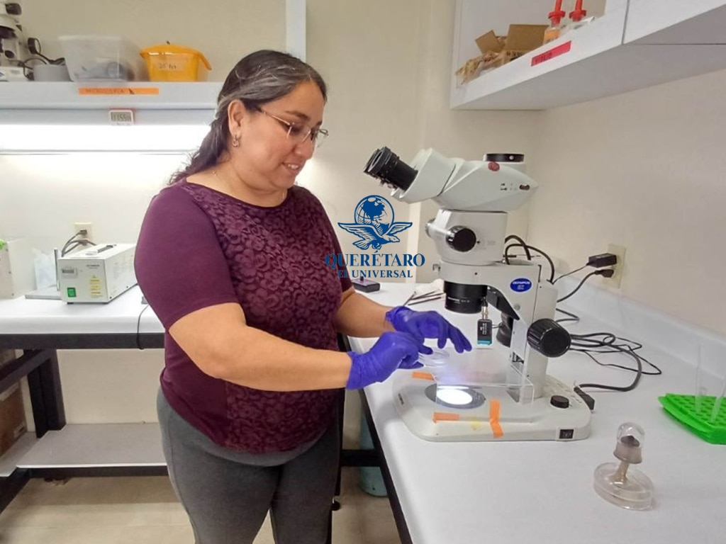 Detectar a tiempo: el poder del tamizaje genómico