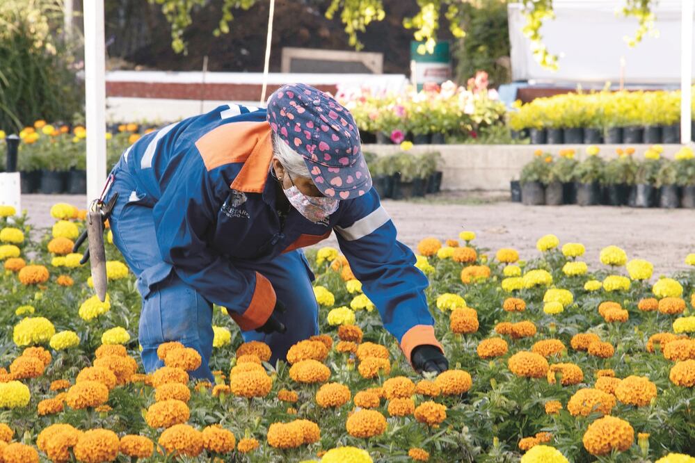 Foto: Demian Chávez