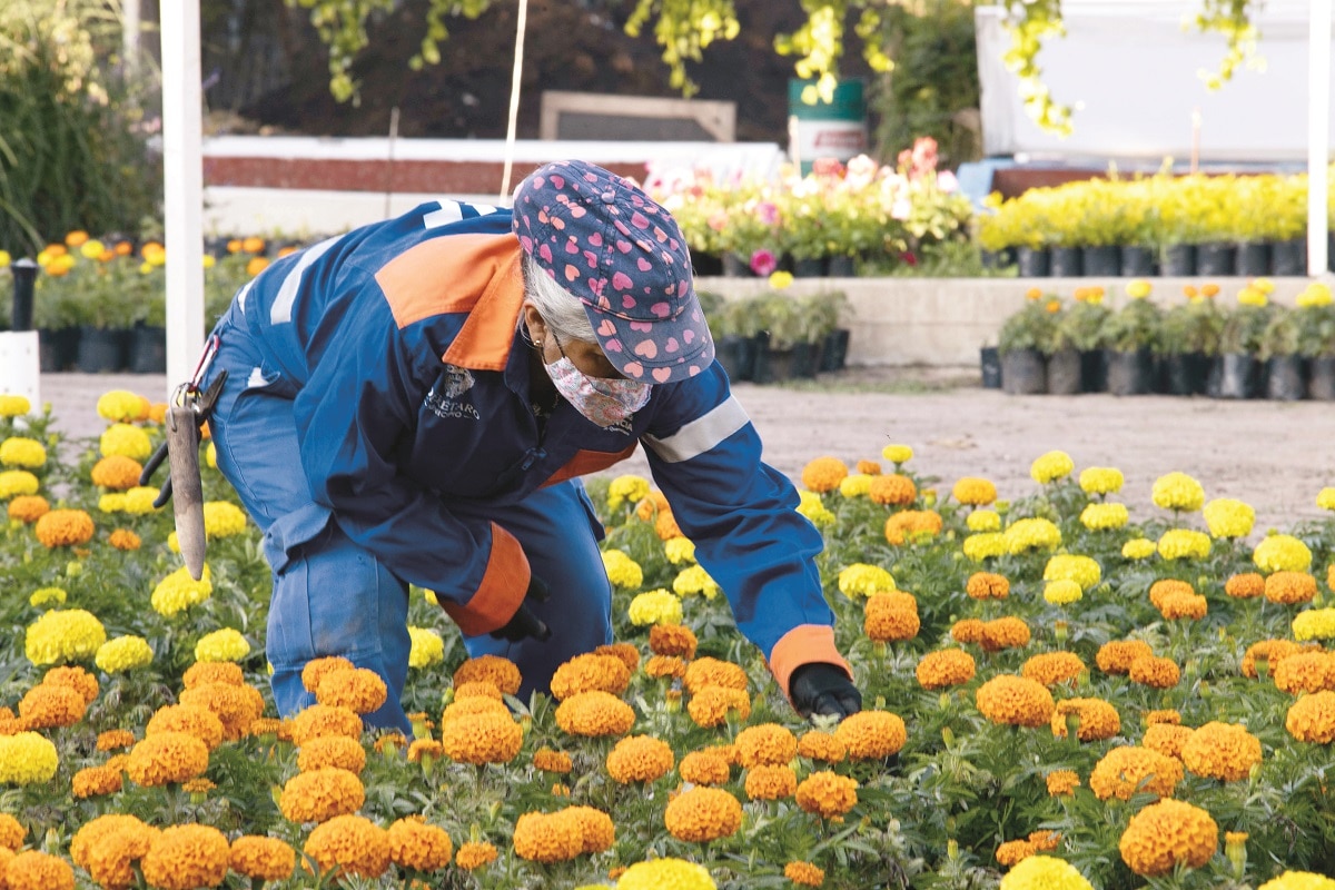 Foto: Demian Chávez