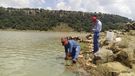 Buscan restituir la protección oficial de la zona natural de El Zapote