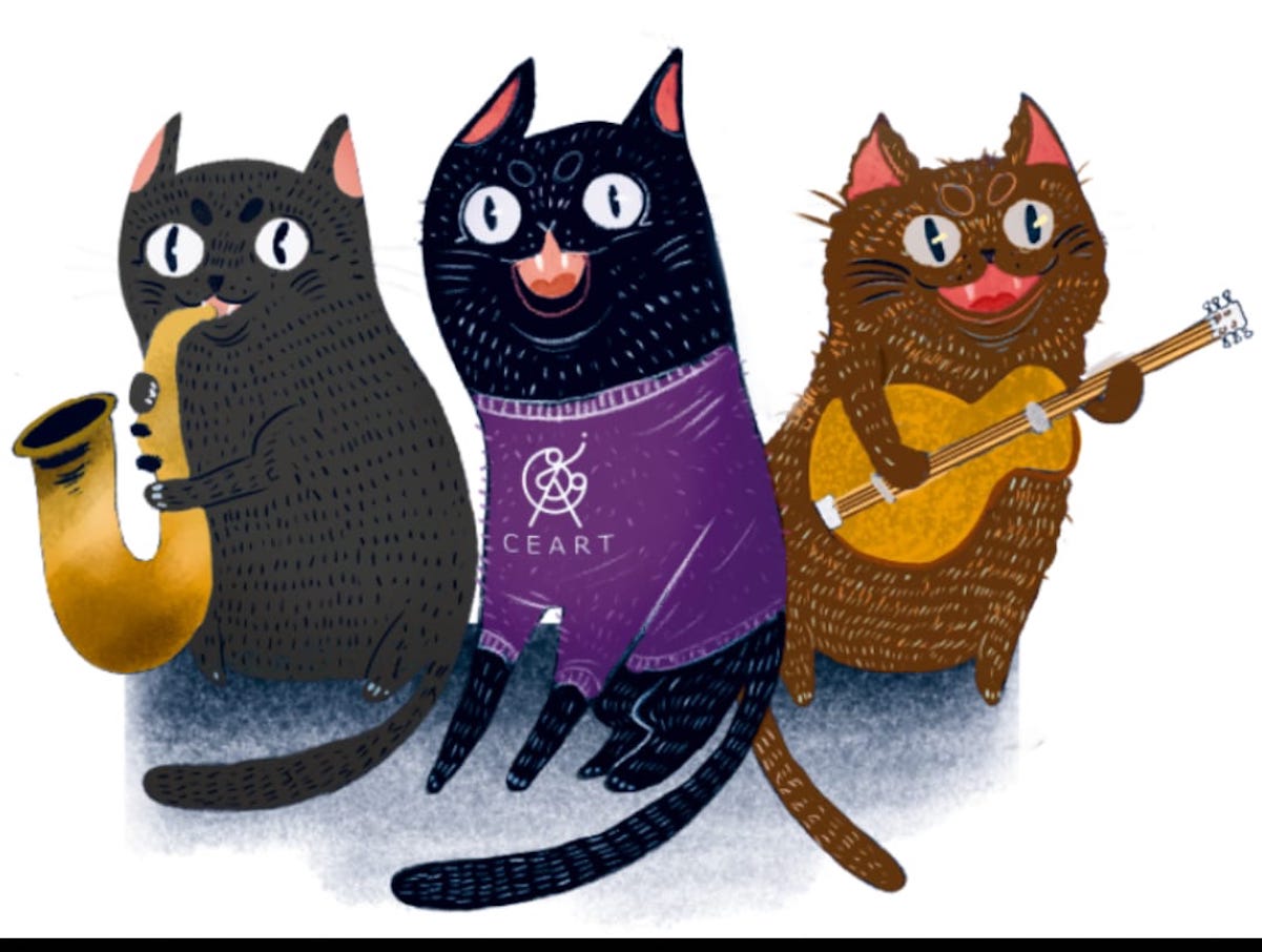 Lanzan conciertos de música clásica para gatos, en Querétaro