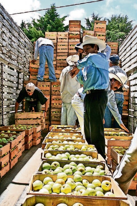 La SE impone cuotas para manzanas de EU