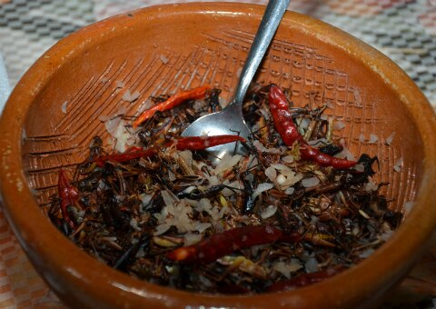 Promueven platillos elaborados con chapulín
