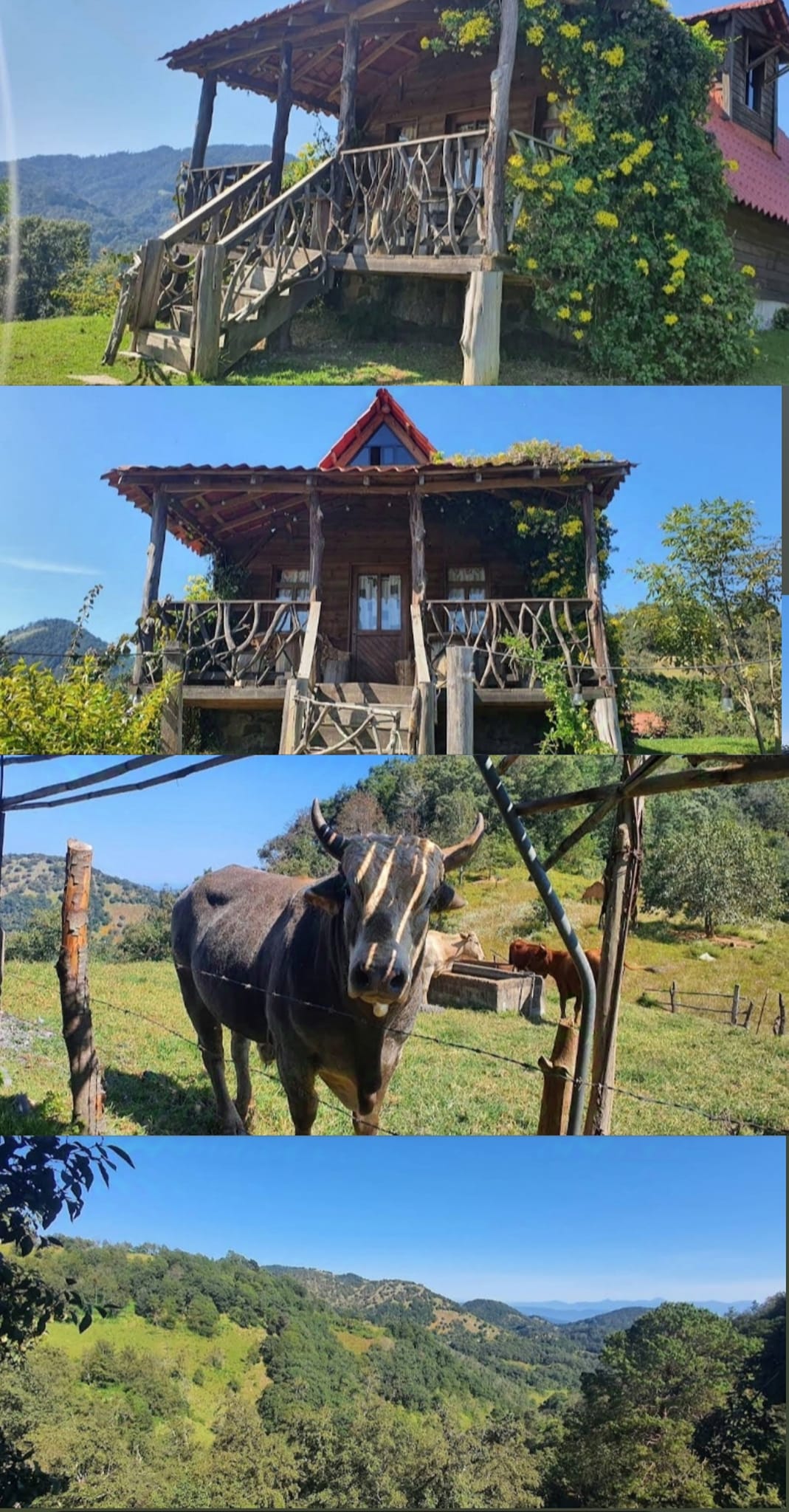 Lomas del Roble. Foto: FB, Cabañas Lomas del Roble