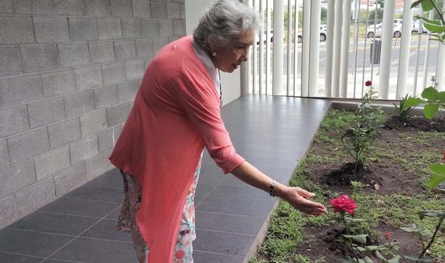 Foto: Domingo Valdez