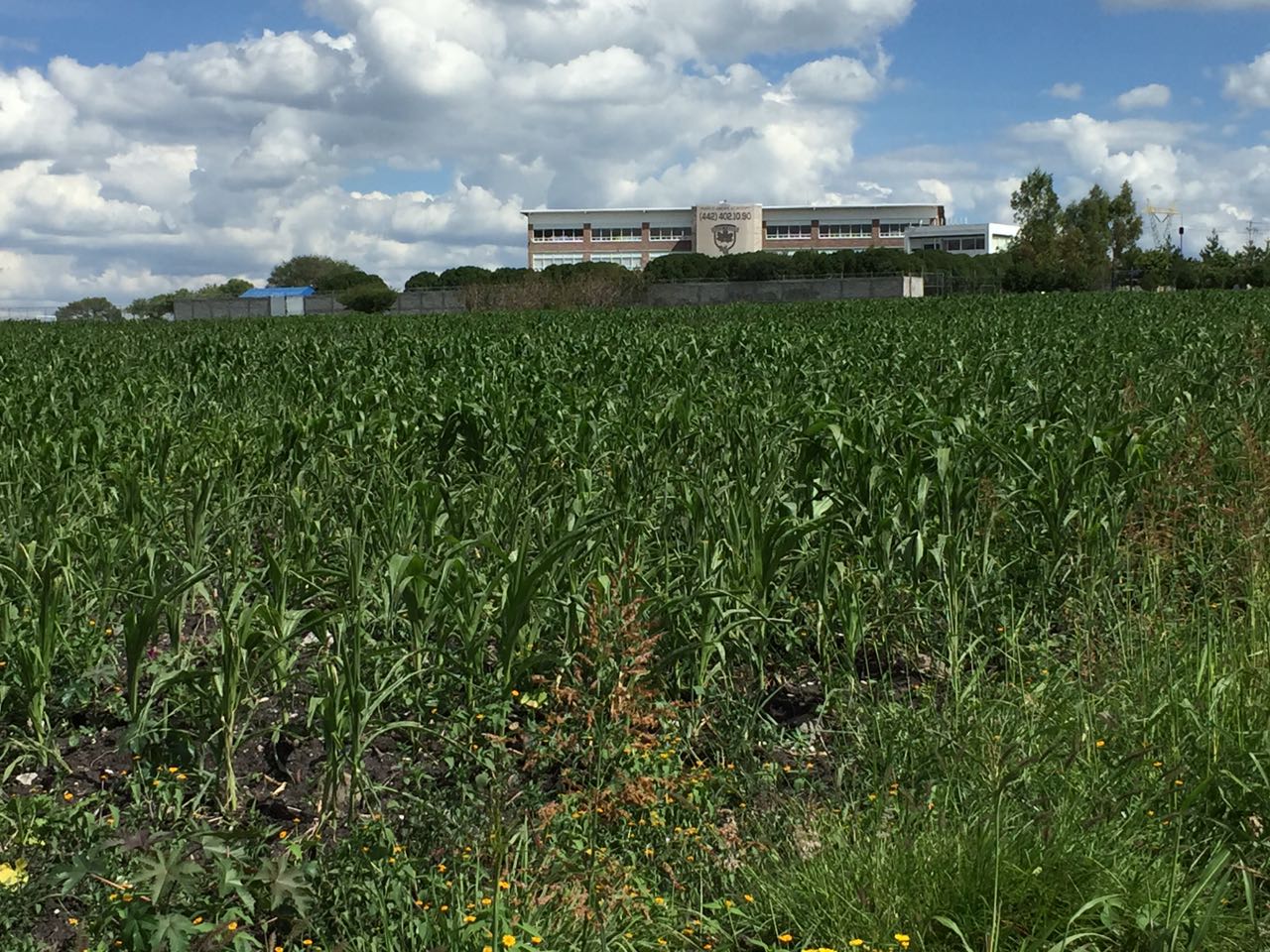 Anaya acusa infamia, pero no niega patrimonio