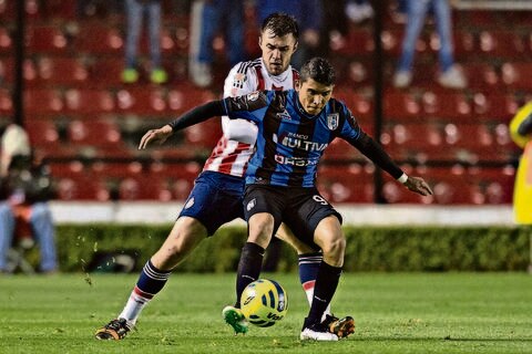 Gallos, motivados ante un ‘grande’