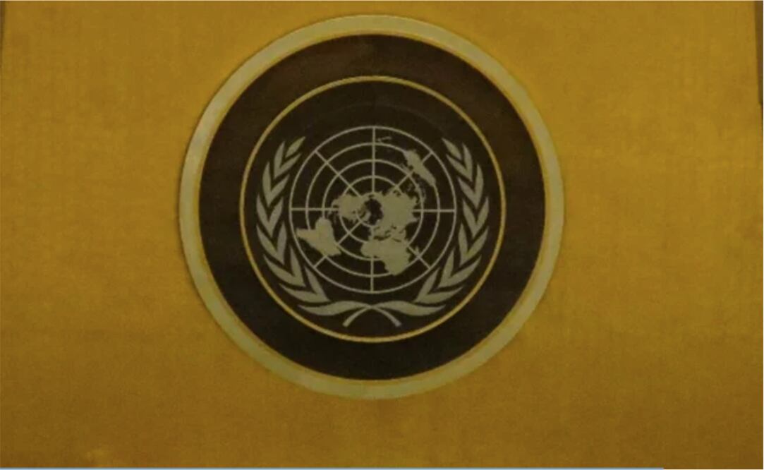 México pide en la ONU garantizar acceso a medicinas, vacunas, pruebas e insumos contra Covid-19