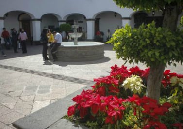 Enfrenta SJR demandas