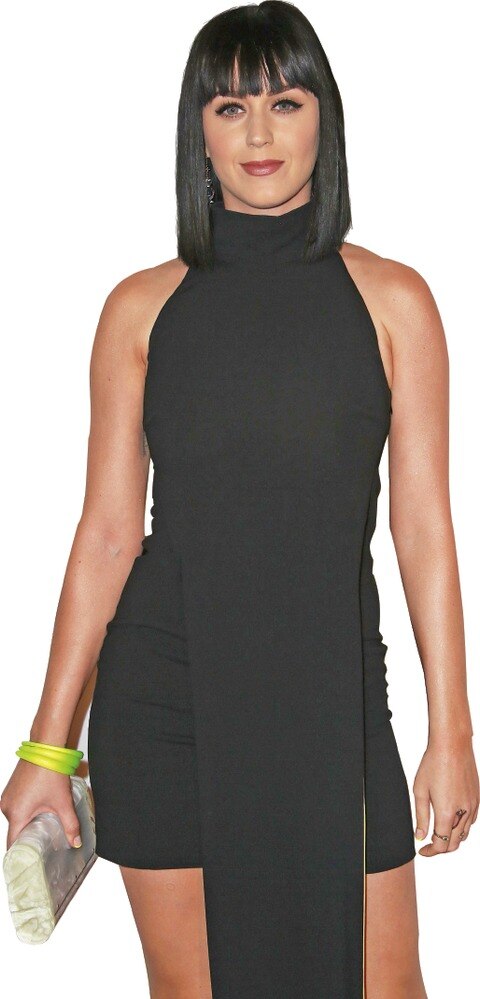 Katy Perry  pensó en el suicidio tras su divorcio