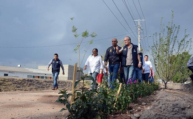 En este tercer Pulmón Urbano, de los 15 que se van a instalar, se invirtieron 350 mil pesos (ESPECIAL)