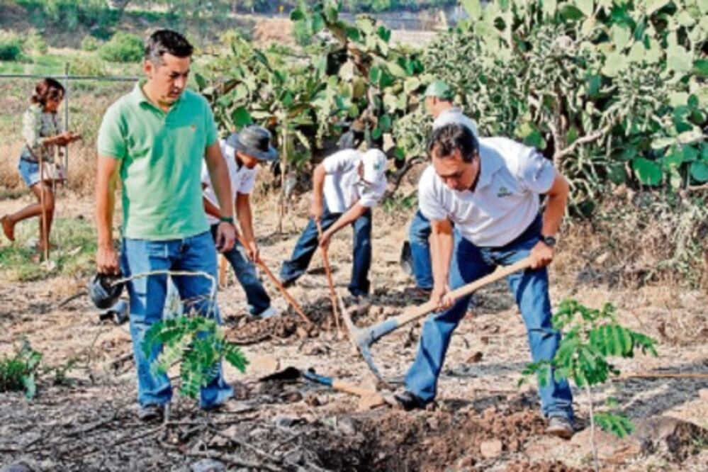 Proyectos para mejorar ambiente