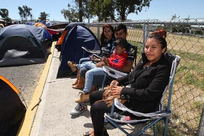 “Mi esposo me contagió la pasión por Gallos ”