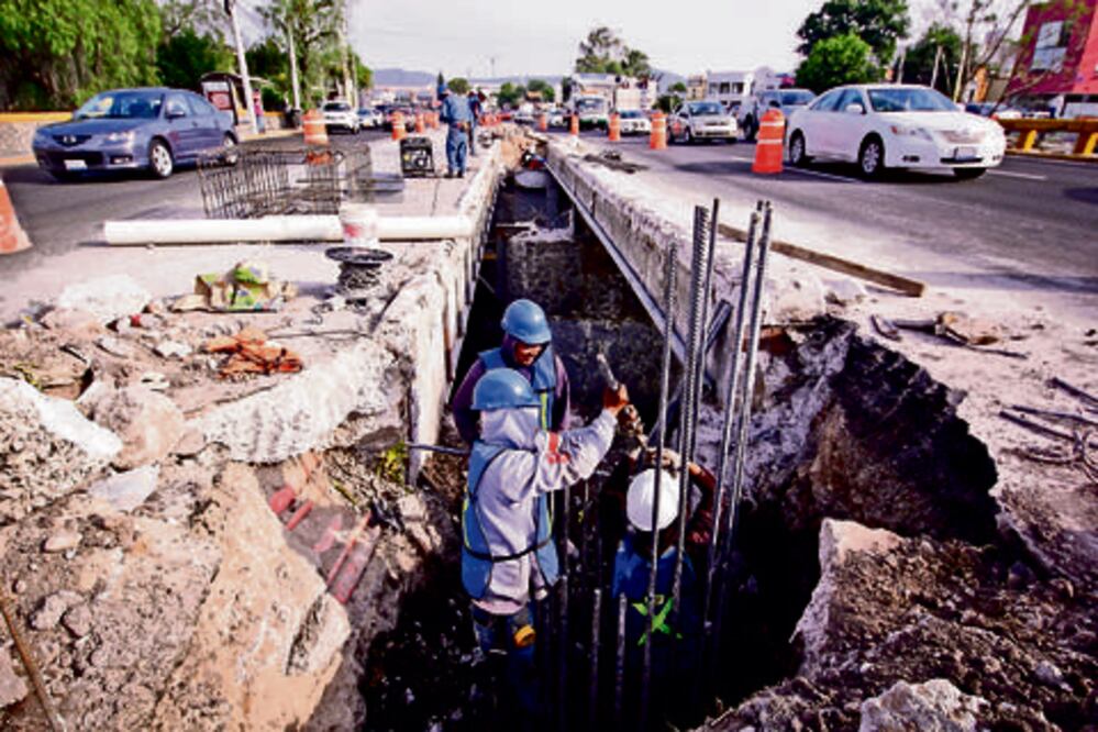 Gobierno carece de voluntad para cuidar el medio ambiente: diputada