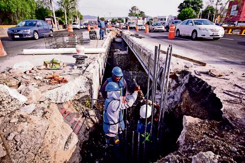 Gobierno carece de voluntad para cuidar el medio ambiente: diputada