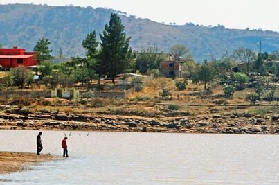 Prevén crezca 20% industria pesquera 