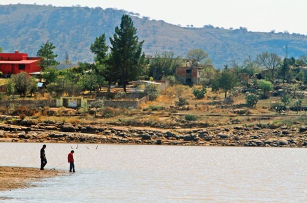 Prevén crezca 20% industria pesquera 