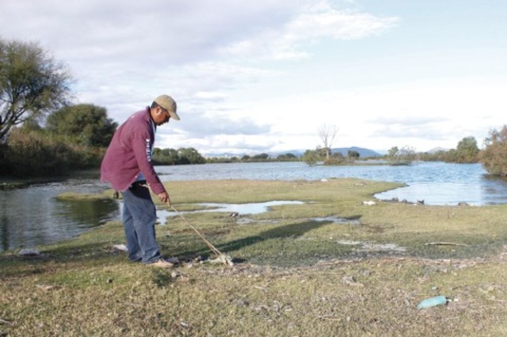 Alertan de  mortandad de patos en Tequis